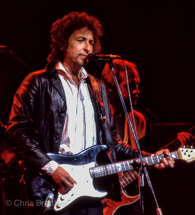 Bob Dylan Warfield 79-11