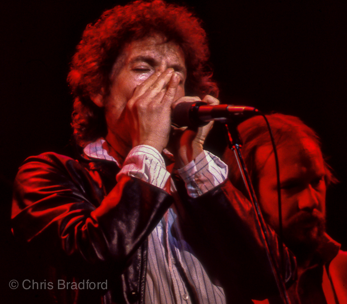Bob Dylan Warfield 79-16