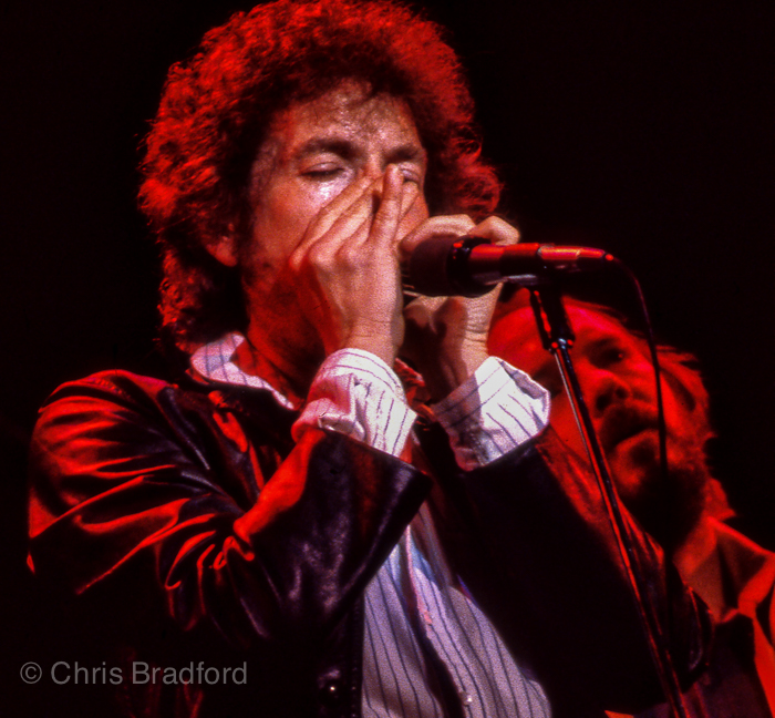 Bob Dylan Warfield 79-17