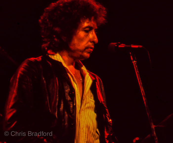 Bob Dylan Warfield 79-9