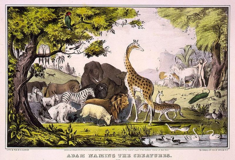 adam-naming-animals
